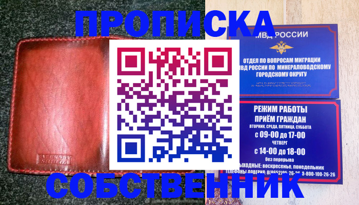 прописка штамп в Емве
